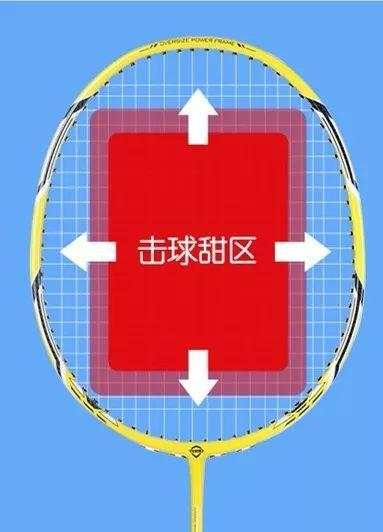 家中提升羽毛球球技的训练,羽毛球新手科普入门视频