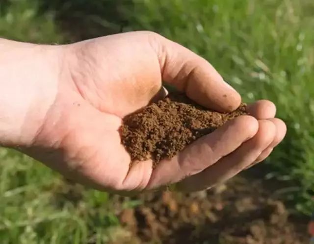怎么去除体内多余的水分,怎样去除体内多余的水