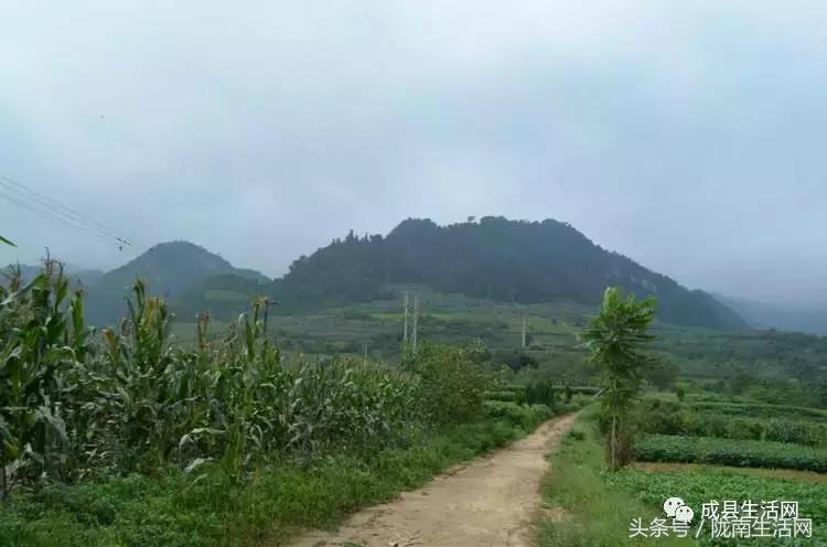 陇南市成县小川镇庙会,今年甘肃陇南成县泰山庙庙会