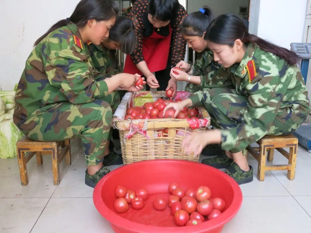 夏令营游学哪个机构好,户外夏令营哪家比较好