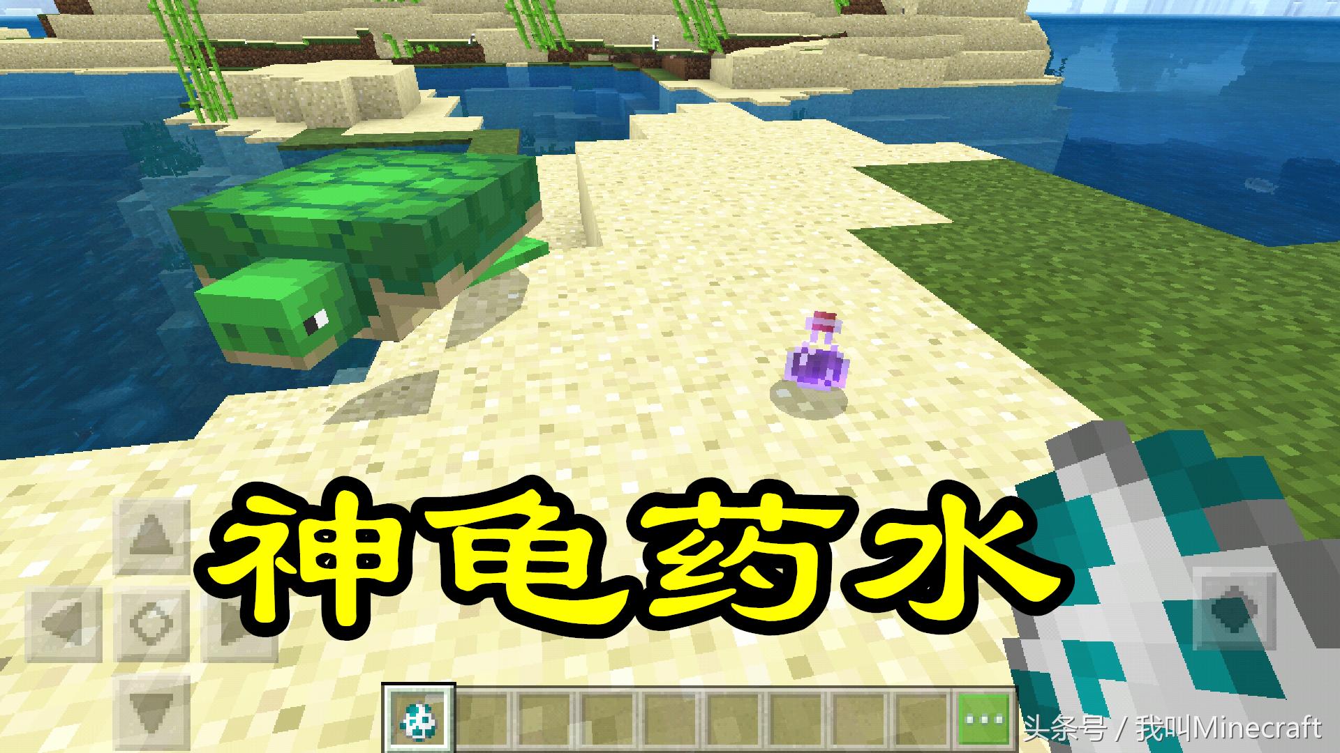 我的世界药水有哪12种效果,我的世界冷知识15个女巫