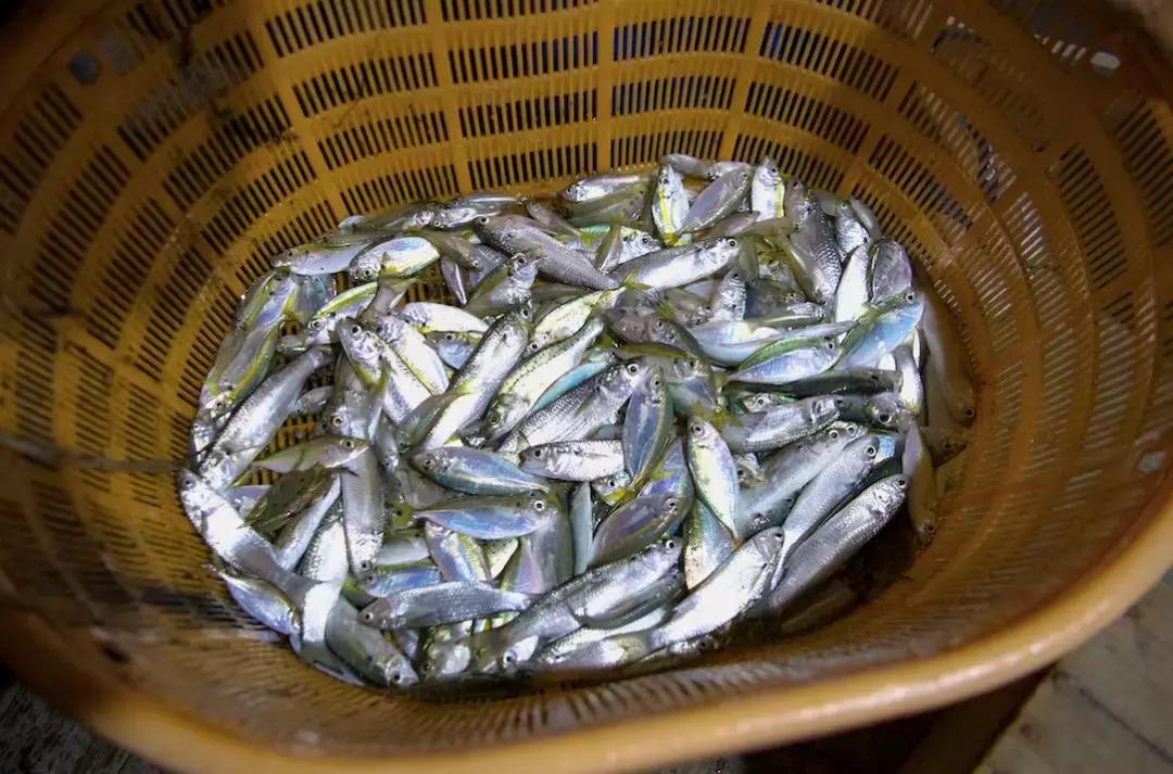 东山岛像浪漫的土耳其,东山岛在哪吃海鲜便宜又新鲜