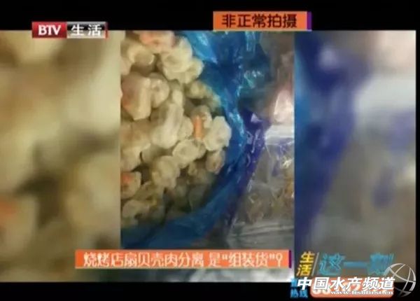 贝壳怎么验真,贝壳有造假的吗