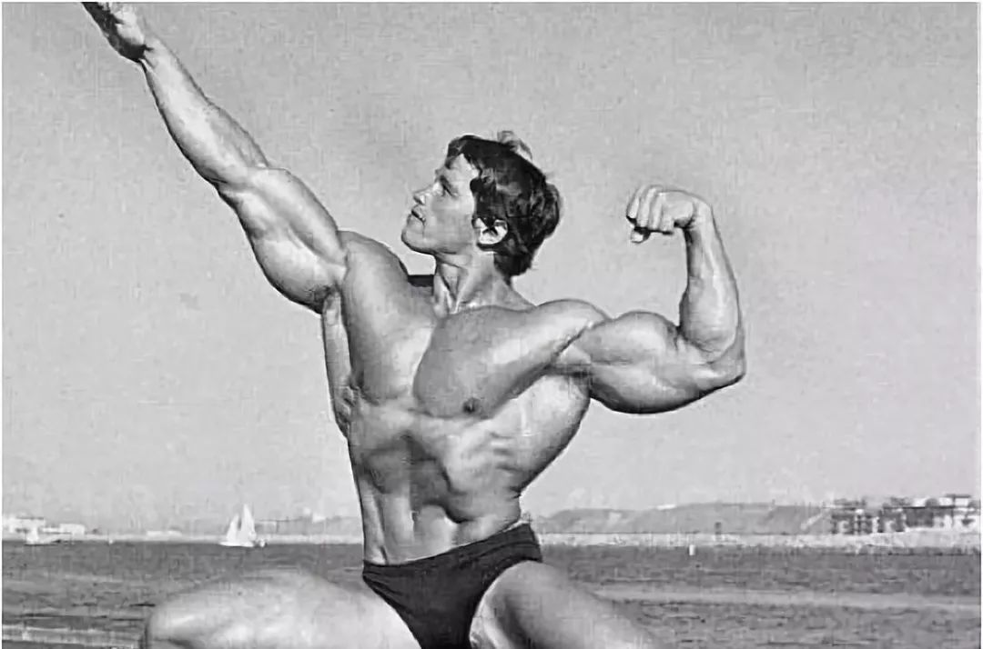 施瓦辛格19岁参加健美比赛,施瓦辛格第一个健美冠军