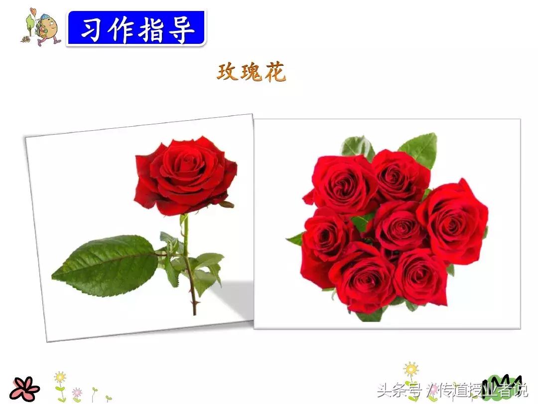 三年级部编版习作我来编童话,部编版三年级我来编童话视频