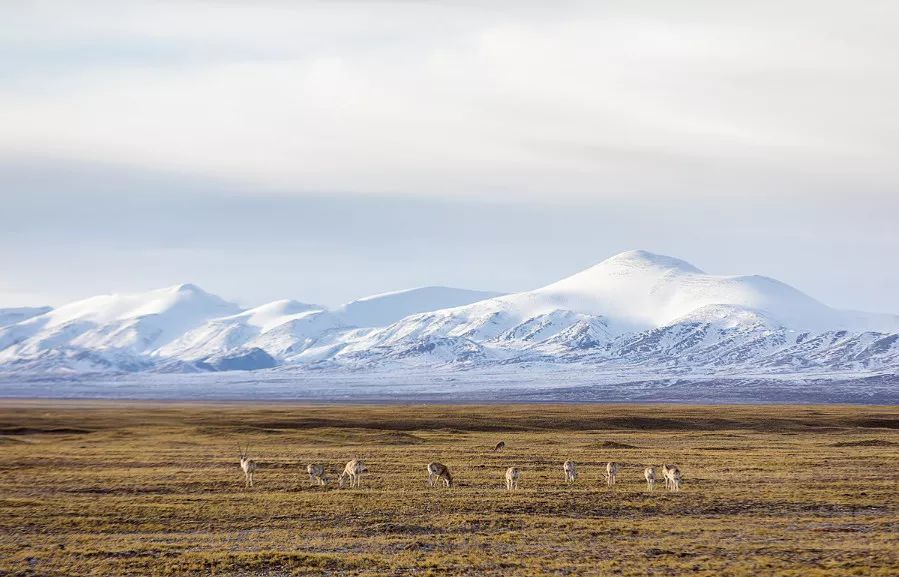 做过这30件事才叫爱旅行的人,旅行的十大重要事