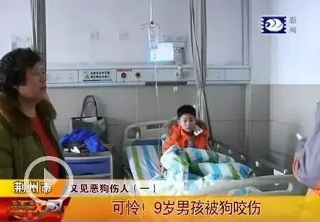 被狗紧咬怎么办,被狗咬住怎样才能挣脱