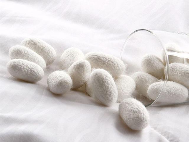 被子盖久了有股臭味什么原因,被子盖久了有异味教你一招除异味