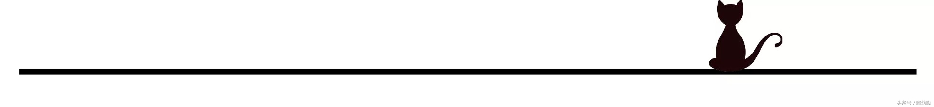 choker小清新推荐,choker平价百搭