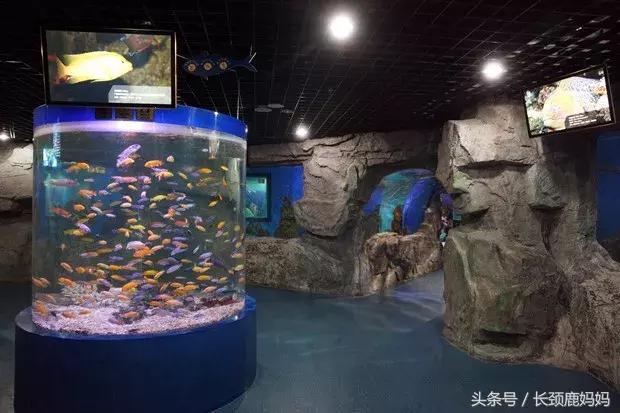 带孩子去北京不建议去哪,带孩子去北京没预约去哪玩