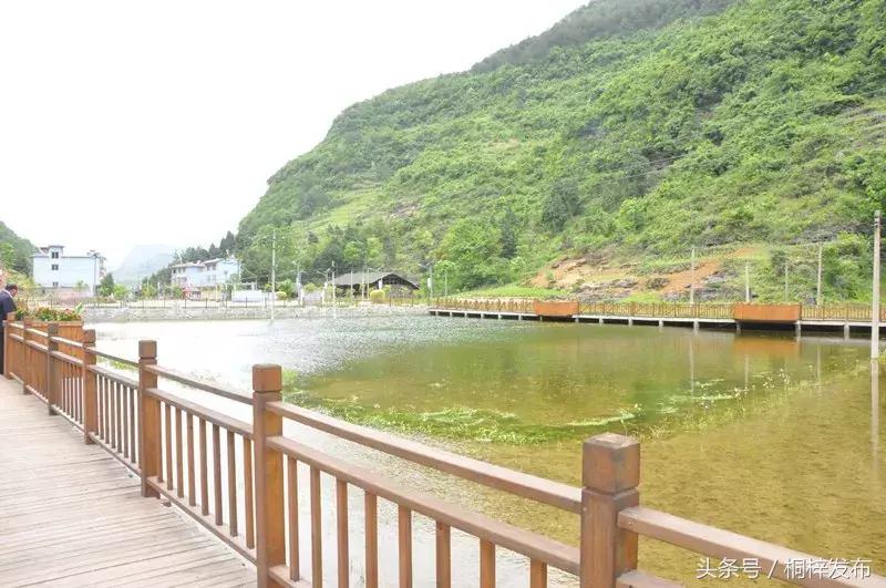 贵州桐梓县好玩的,好玩的地方桐梓