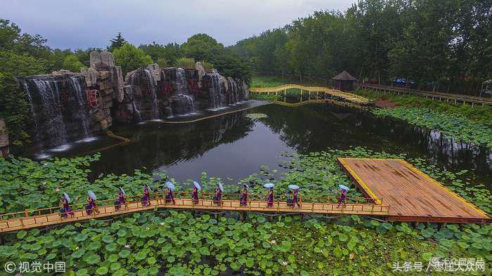 红荷湿地微山湖八月份还有荷花吗,山东微山湖红荷湿地公园荷花