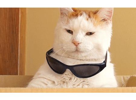 那些又大又值得回购的面膜,很服帖用了绝对要回购的一款面膜