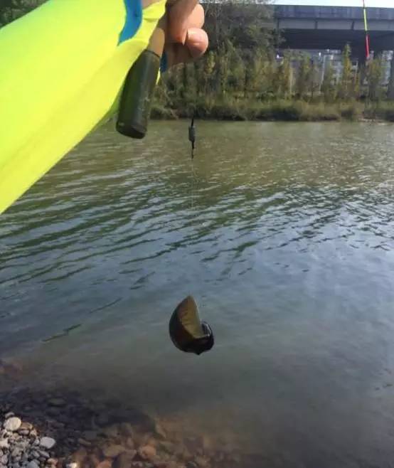 钓到过什么奇葩东西,钓上来最奇葩的东西