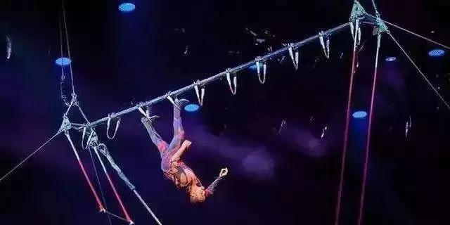 珠海长隆学到的5件事,去珠海长隆的感想是什么样的