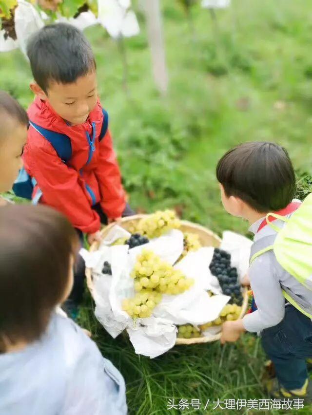 深山电子音乐节吃喝玩乐+野格+抖音区指南!预售票即将停止发售