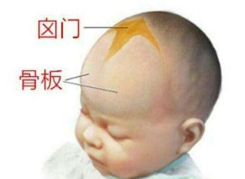 两个月宝宝老是抠头皮,宝宝便秘洁癖妈妈直接用手抠