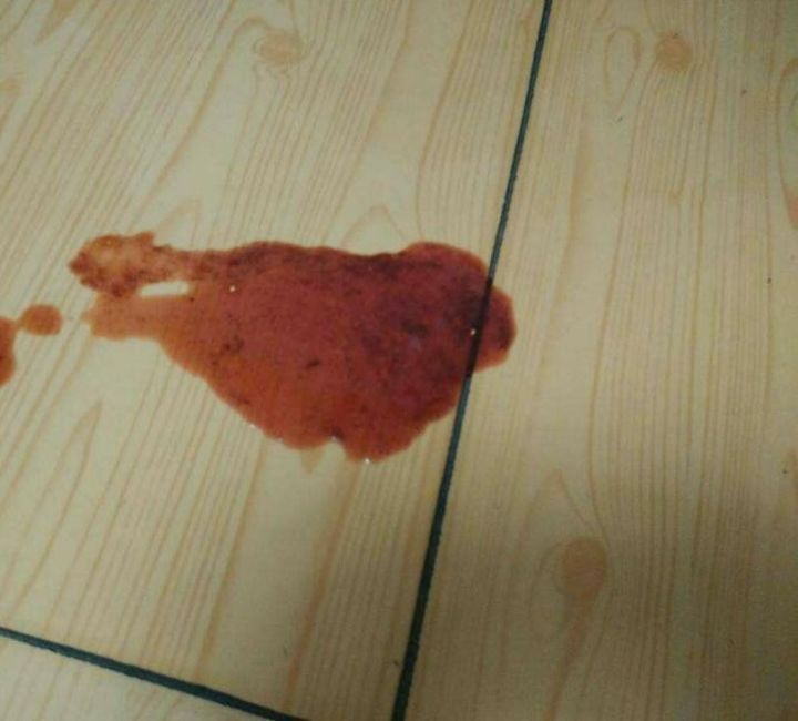 狗狗得胃溃疡怎么办,狗狗因为生病饿着