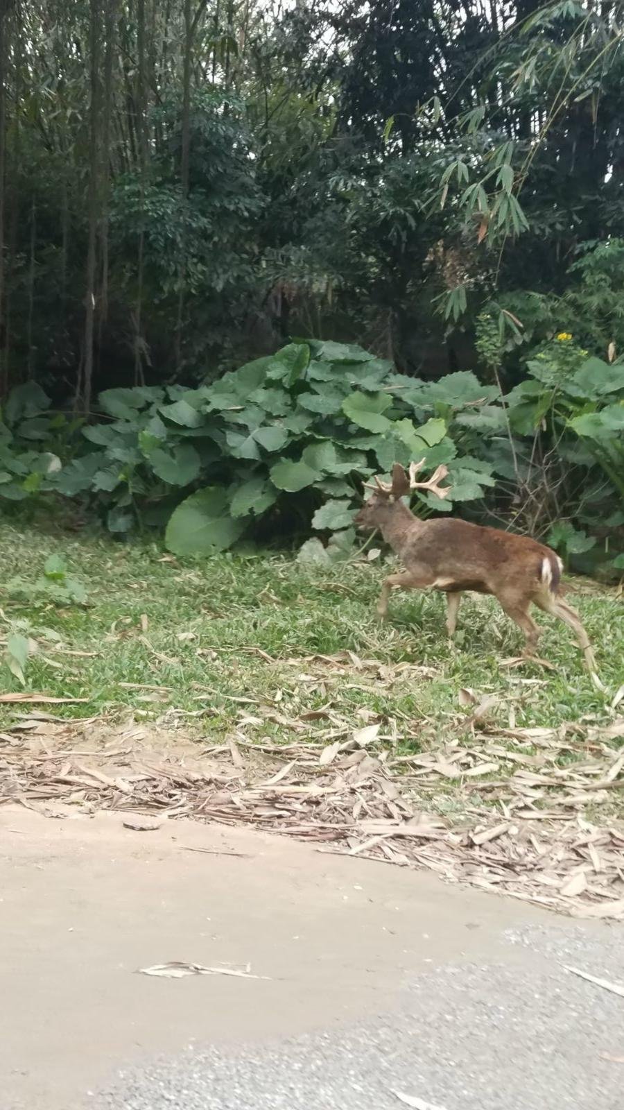 长隆广州野生动物园带娃游玩攻略,一大一小亲子游长隆野生动物园