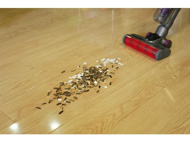 莱克魔洁无线吸尘器刷头清洗,莱克魔洁无线吸尘器