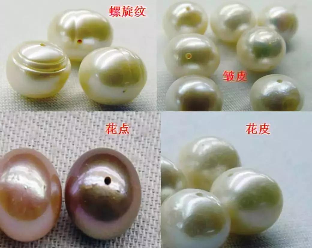 珍珠知识新手入门教学,小火说免费阅读