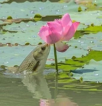 在路上迷人的风景,在路上的美景