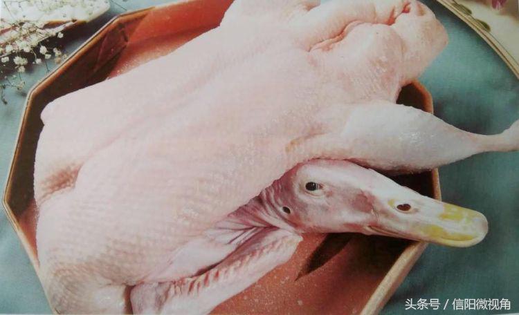 华英集团什么时候升级产业,华英集团最新现状