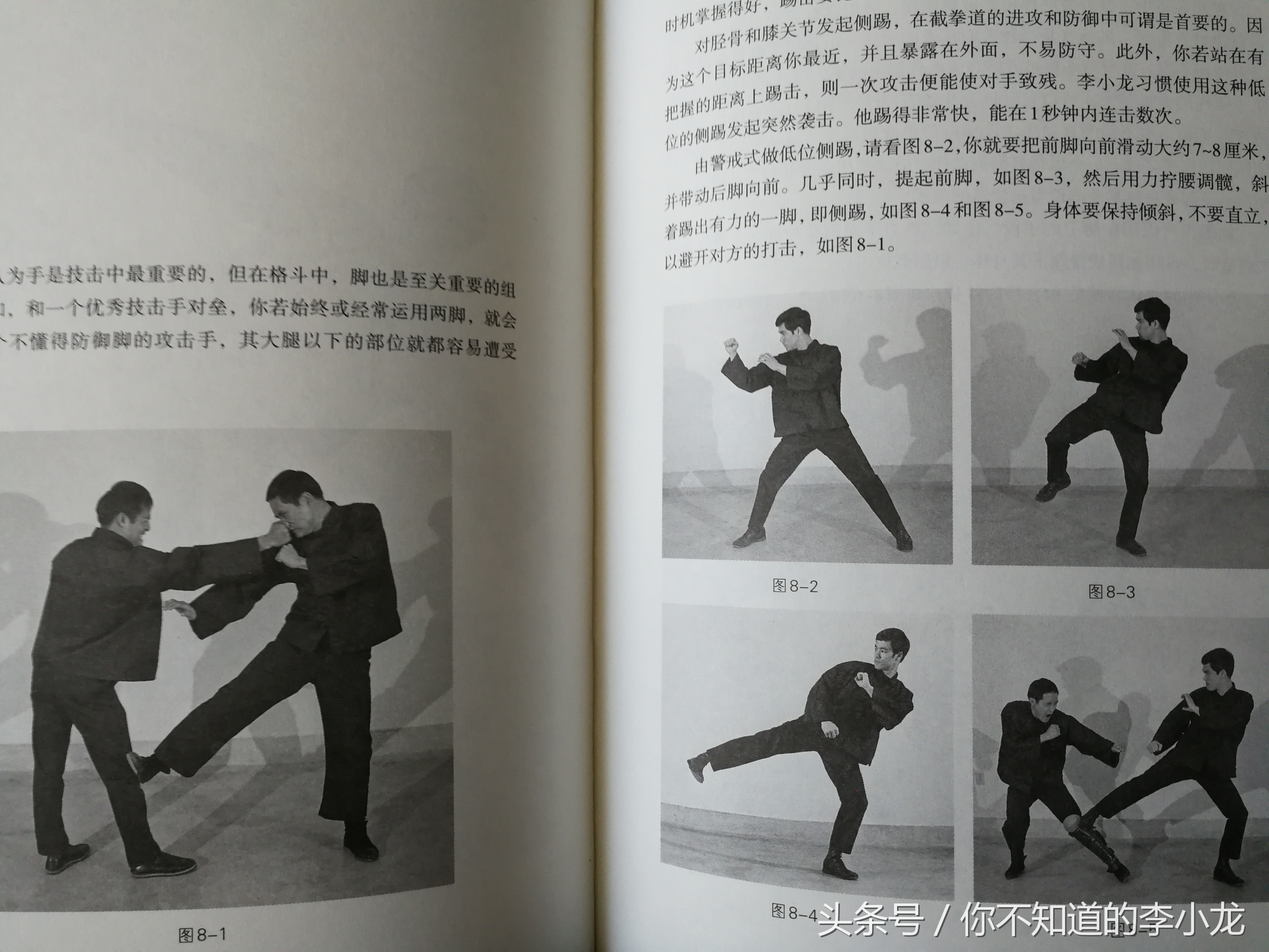 李小龙截拳道致敬李小龙,李小龙传奇李小龙截拳道多少集