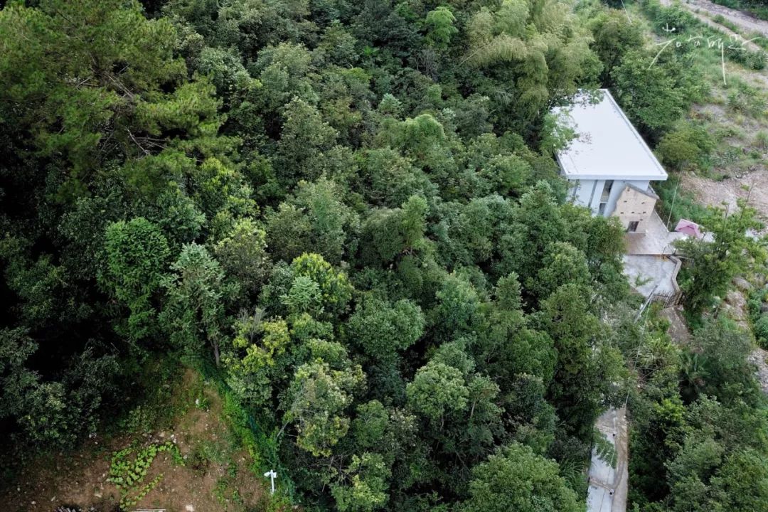 桐庐天子地避暑胜地 (避暑胜地亲子游桐庐)