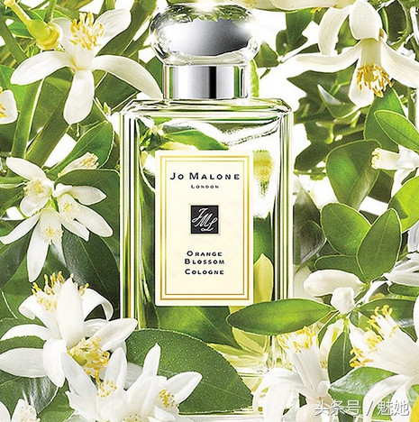 祖马龙三款热门香水30ml单瓶,2023新款香水祖玛珑测评