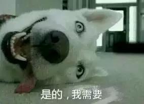 福懋宠物医院宠物洗澡,福懋动物医院西槎分院