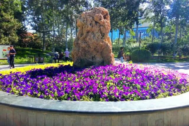 北京哪些公园对18岁以下免费,北京60岁以上老人免费公园明细