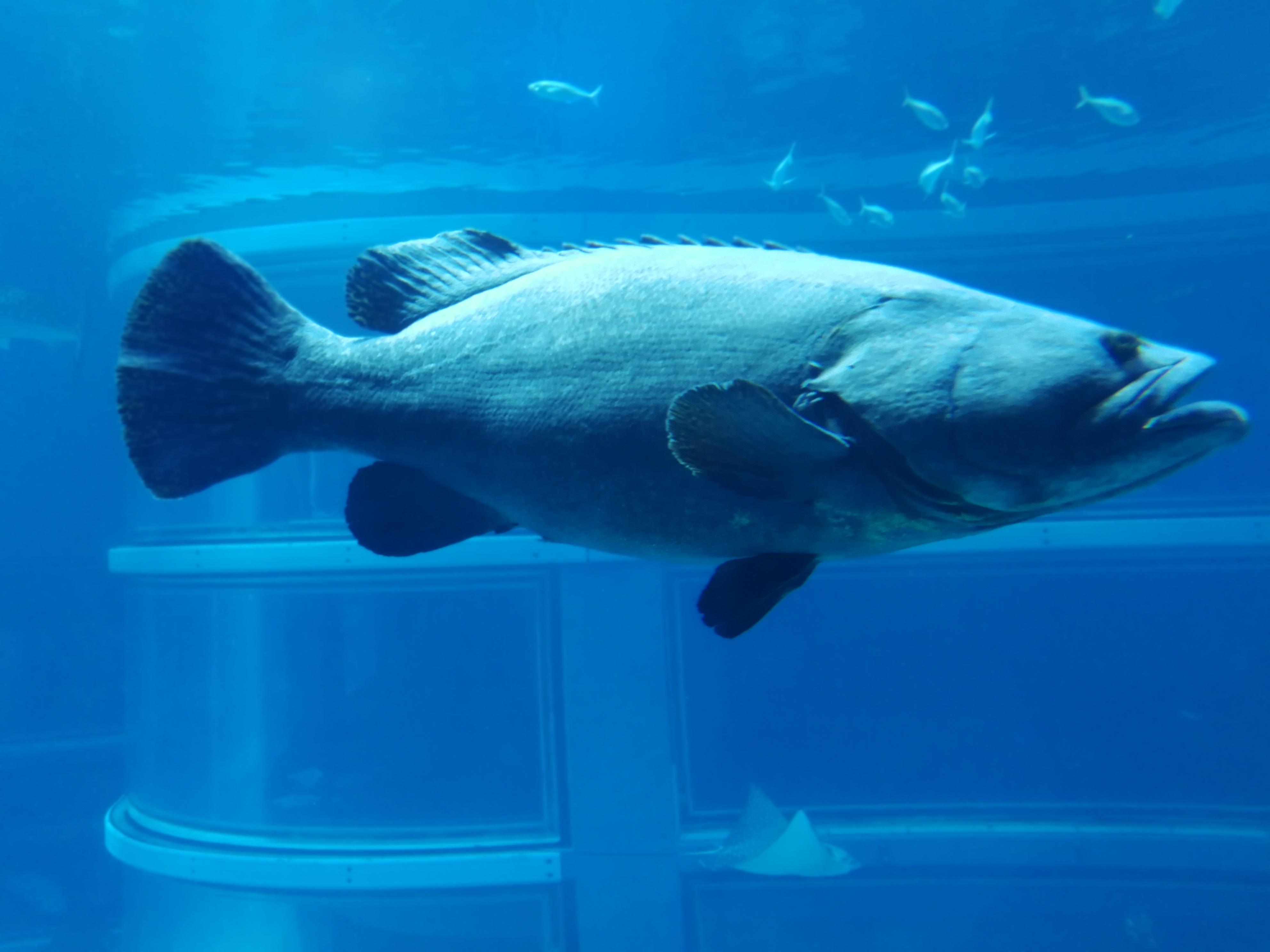 日本乐高亲子游,日本乐高亲子游玩中心在哪