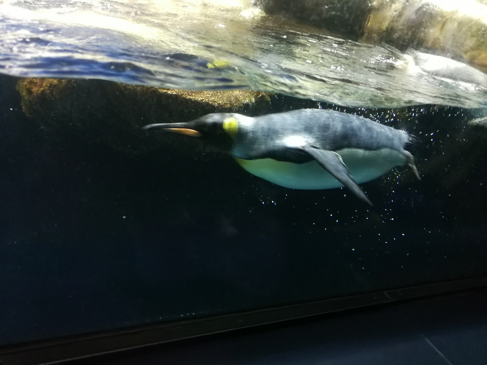 日本乐高亲子游,日本乐高亲子游玩中心在哪