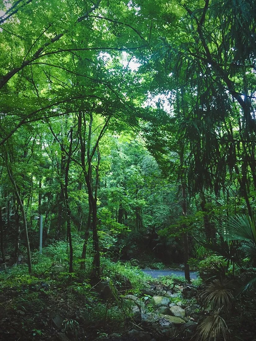 杭州临安万豪酒店效果图,杭州第二家万豪酒店