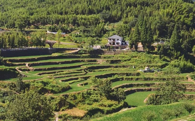 杭州临安万豪酒店效果图,杭州第二家万豪酒店