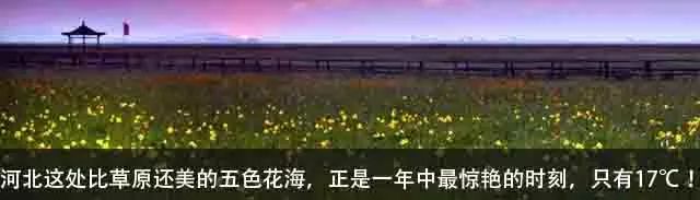 夏季出游唐山旅游攻略最新,唐山周末好去处2020