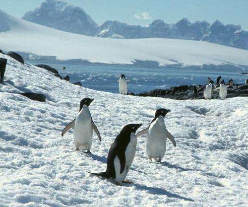 诺坎普球场对战,诺坎普球场的较量大空翼