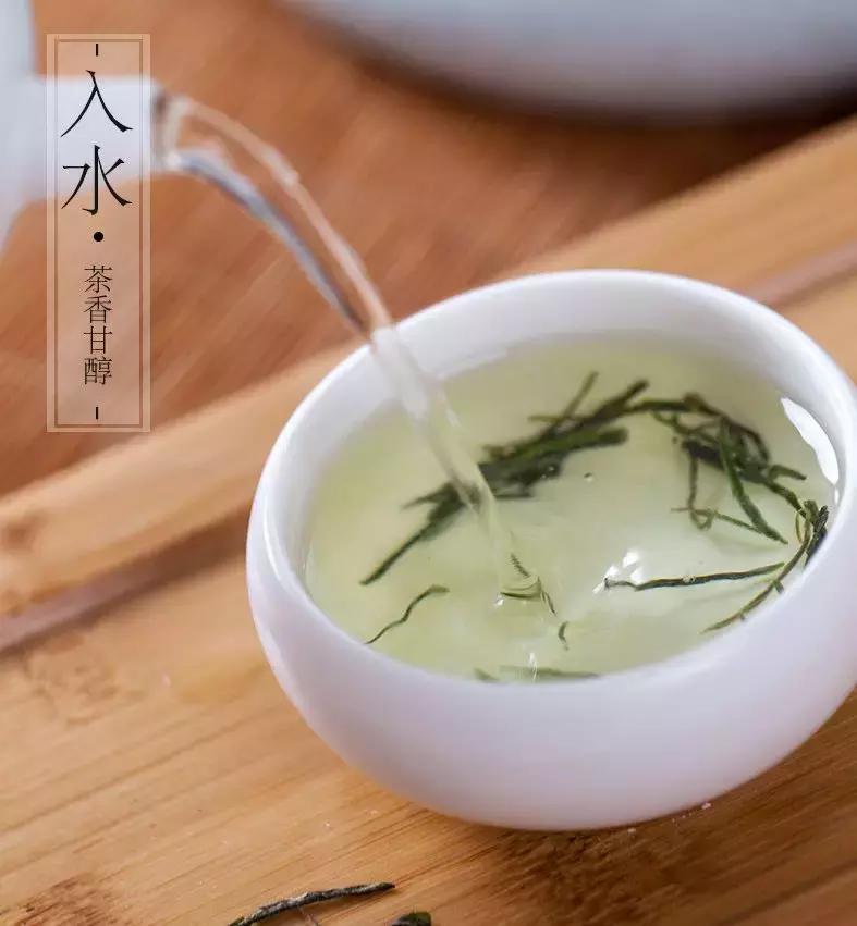 99元一斤半信阳毛尖是真的吗,网上几十元一斤的信阳毛尖