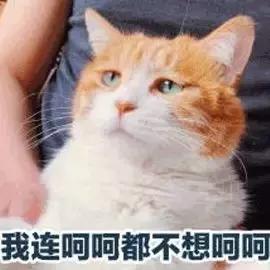 夏日别再盲目控油了！油皮痘肌护理小秘诀了解一下