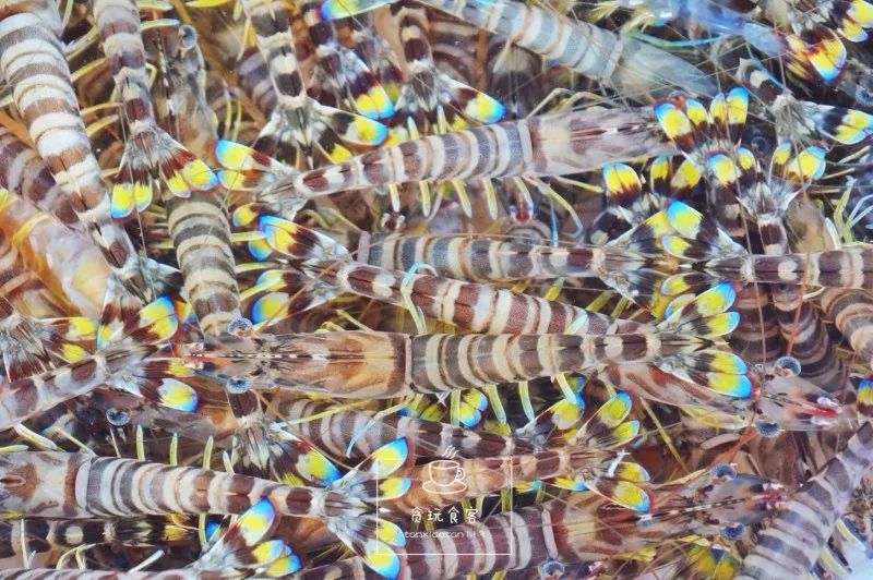 暑期去山东龙口,拍ins风网红大片,看没有游客蔚蓝大海!