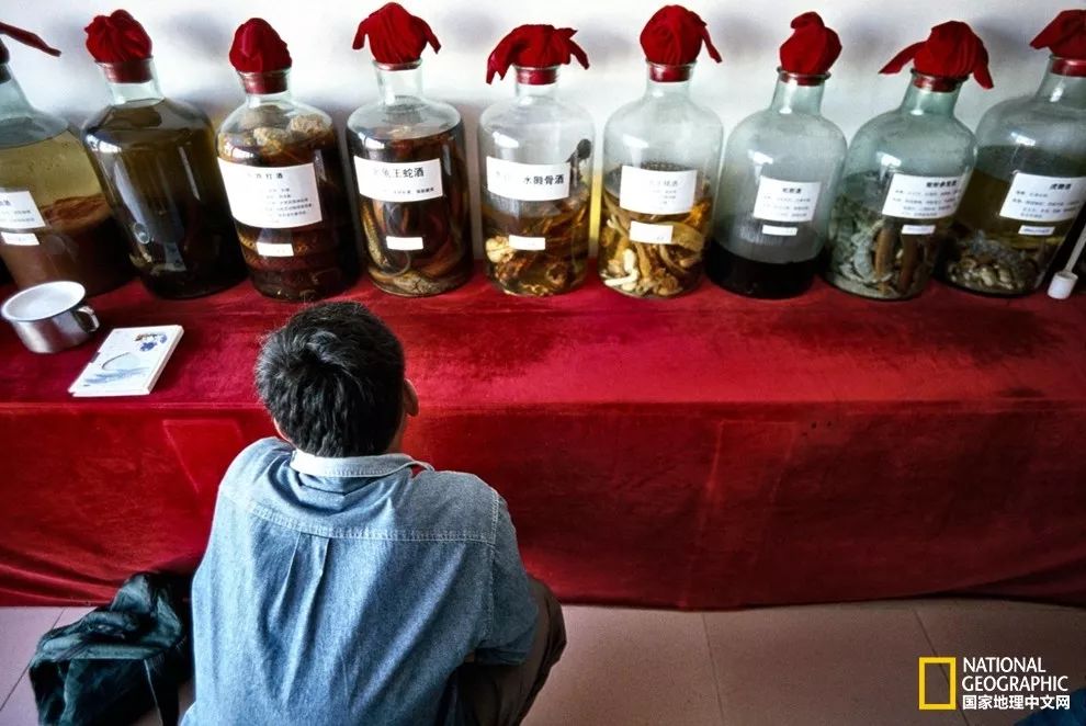 国家地理的真相,国家地理讲虎的纪录片