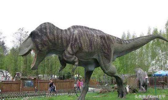 霸王龙的天敌食肉恐龙,巨型食肉牛龙对战霸王龙