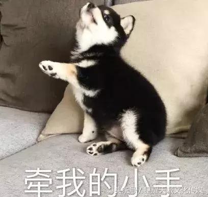 书香味香水推荐,几乎零差评的五款香水