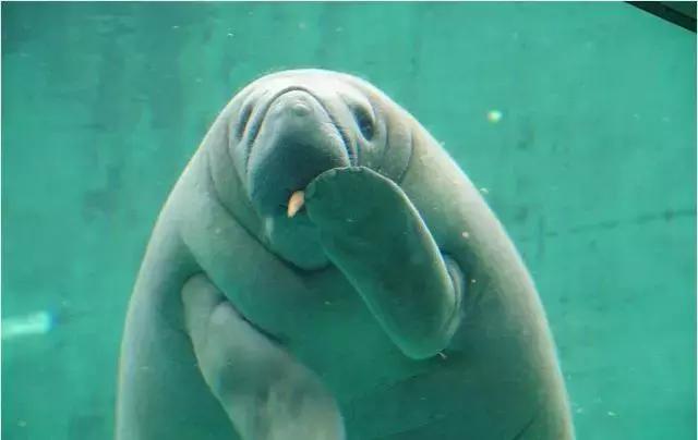 暑期陪娃游长隆海洋王国,这个暑假去珠海海洋王国多人吗