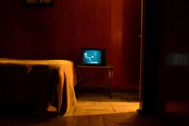 我说，和浪漫主义狗一起，我要留在这儿