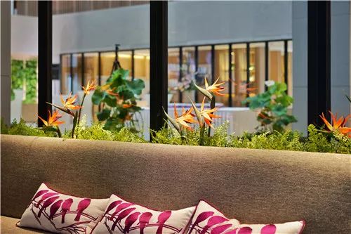 最新开业酒店：万豪、万丽、君亭、丽朗、喜来登、希尔顿欢朋