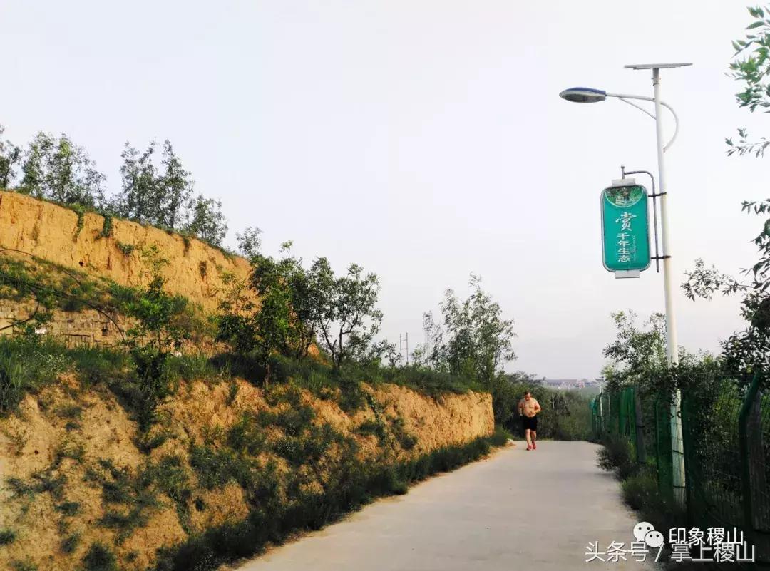 万步有约健步走的图片,万步有约健走视频动漫