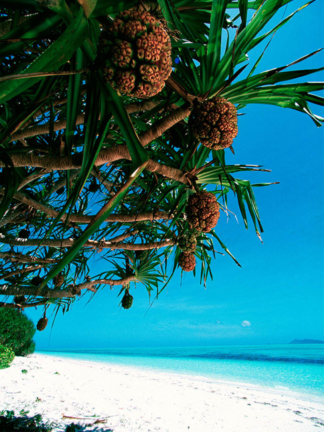 号称小马尔代夫的东南亚海岛,马尔代夫菲律宾小岛