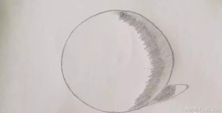 用素描纸素描笔画植物,素描手把手教学